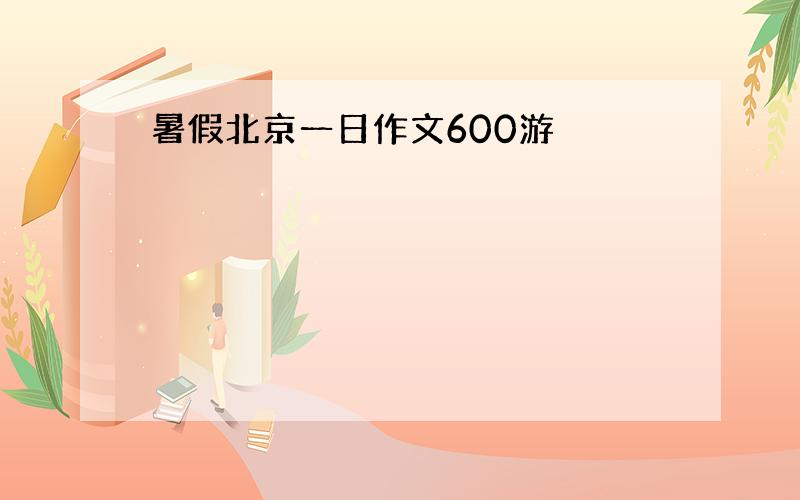 暑假北京一日作文600游