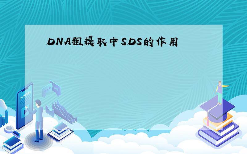 DNA粗提取中SDS的作用