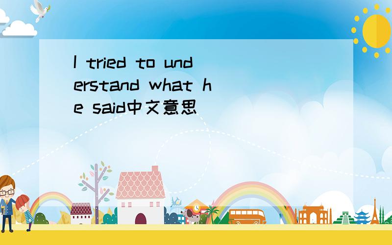 I tried to understand what he said中文意思