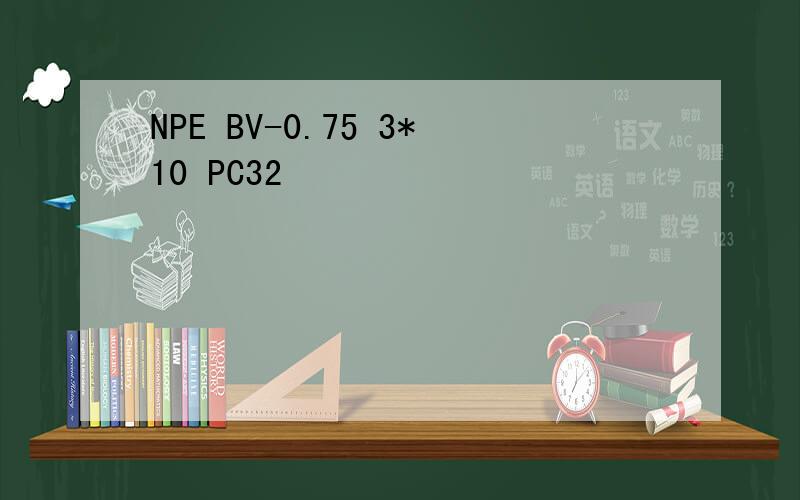 NPE BV-0.75 3*10 PC32