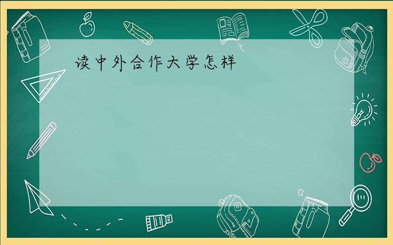 读中外合作大学怎样