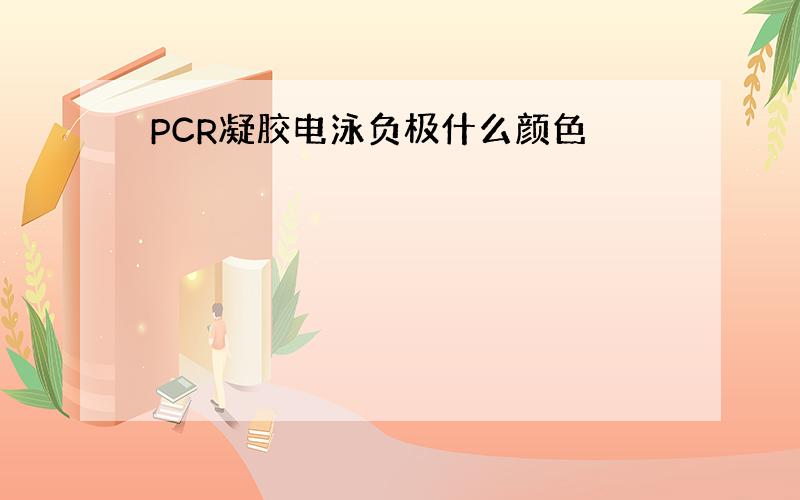 PCR凝胶电泳负极什么颜色