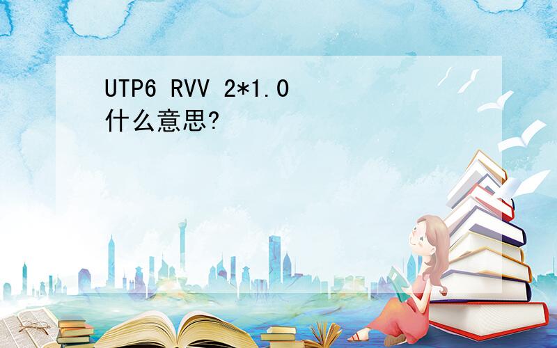 UTP6 RVV 2*1.0什么意思?