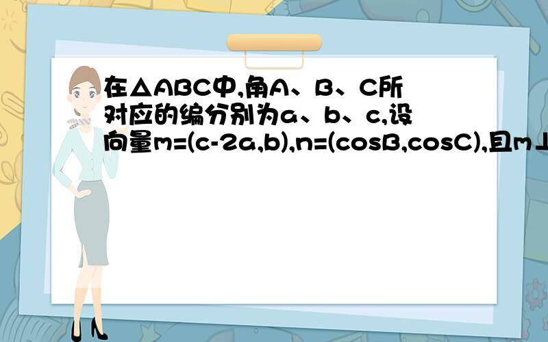 在△ABC中,角A、B、C所对应的编分别为a、b、c,设向量m=(c-2a,b),n=(cosB,cosC),且m⊥n