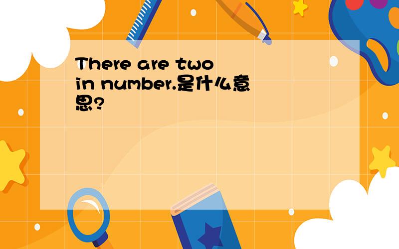 There are two in number.是什么意思?