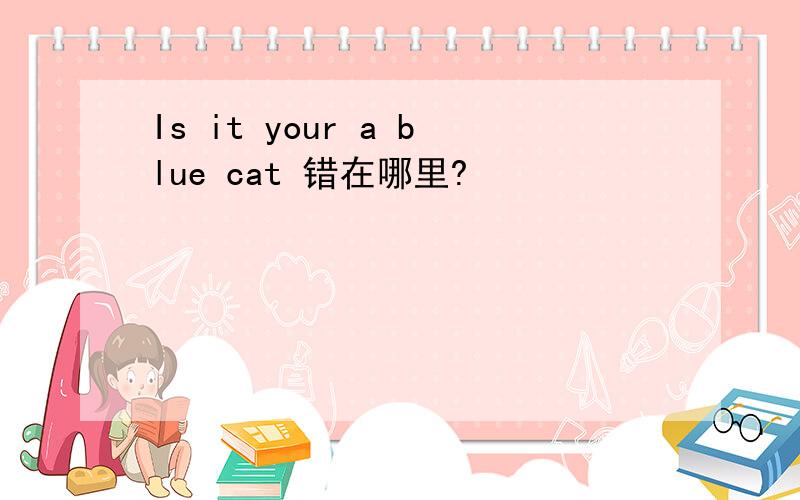 Is it your a blue cat 错在哪里?