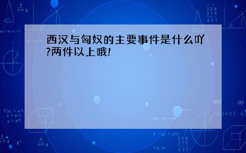 西汉与匈奴的主要事件是什么吖?两件以上哦!