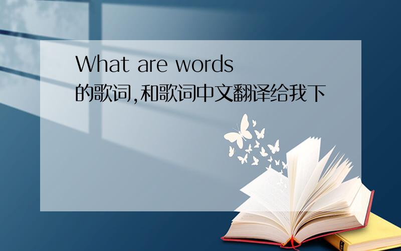 What are words的歌词,和歌词中文翻译给我下