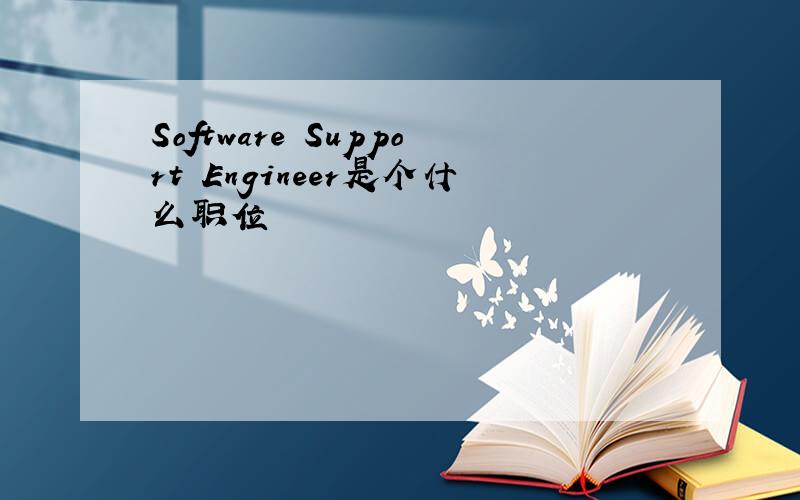Software Support Engineer是个什么职位