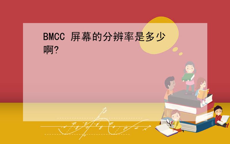 BMCC 屏幕的分辨率是多少啊?