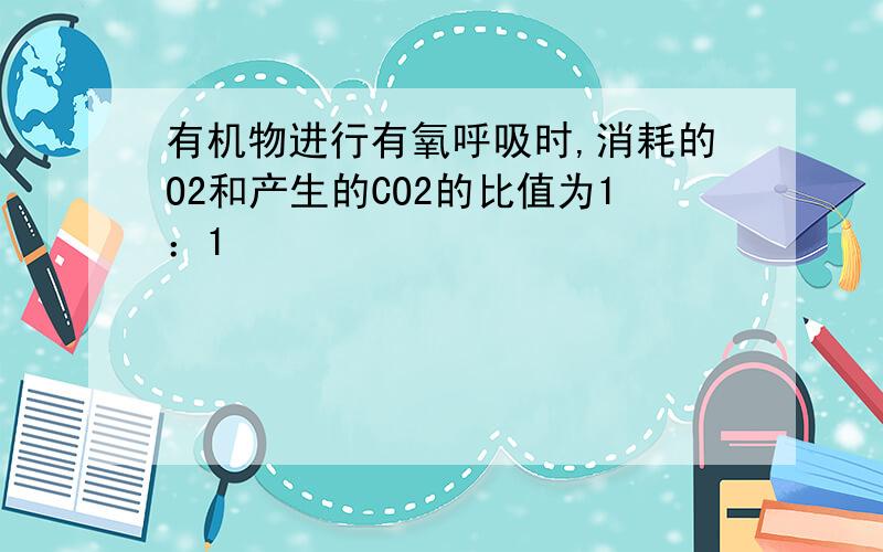 有机物进行有氧呼吸时,消耗的O2和产生的CO2的比值为1：1