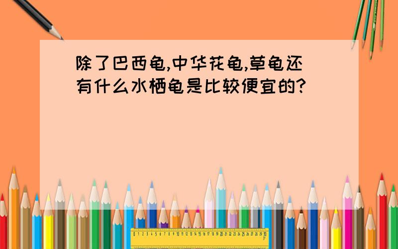 除了巴西龟,中华花龟,草龟还有什么水栖龟是比较便宜的?