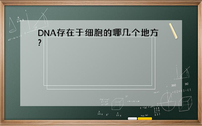 DNA存在于细胞的哪几个地方?