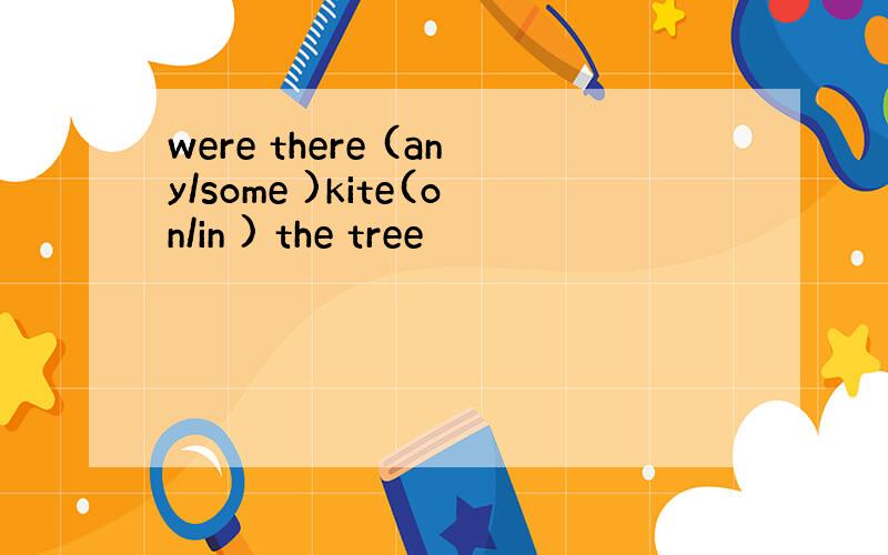 were there (any/some )kite(on/in ) the tree