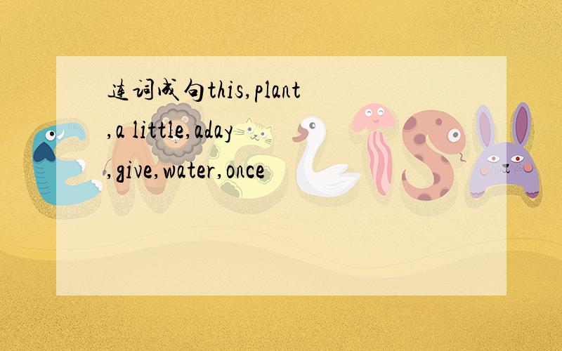 连词成句this,plant,a little,aday,give,water,once