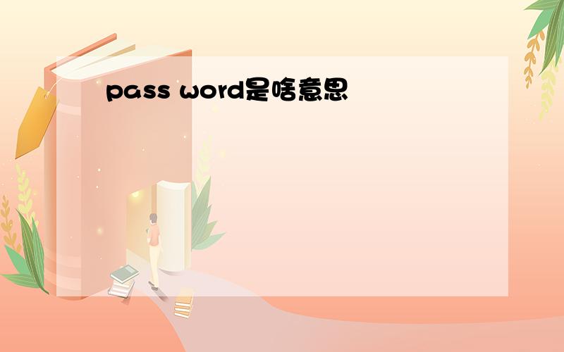 pass word是啥意思