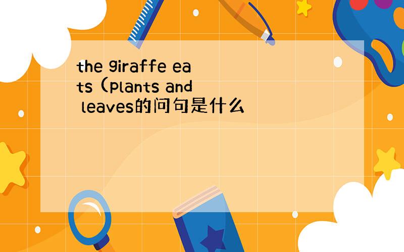 the giraffe eats (plants and leaves的问句是什么