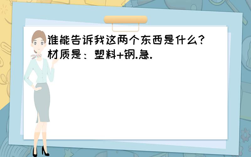 谁能告诉我这两个东西是什么?材质是：塑料+钢.急.