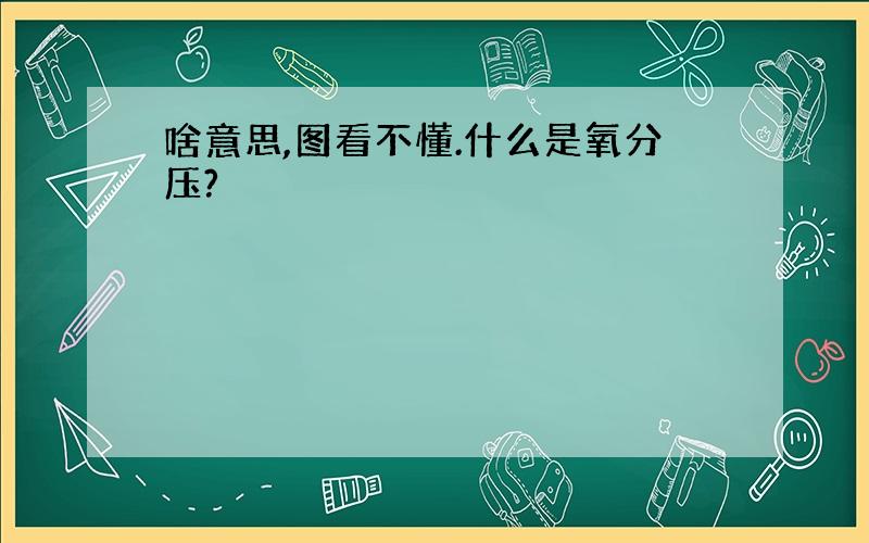 啥意思,图看不懂.什么是氧分压?