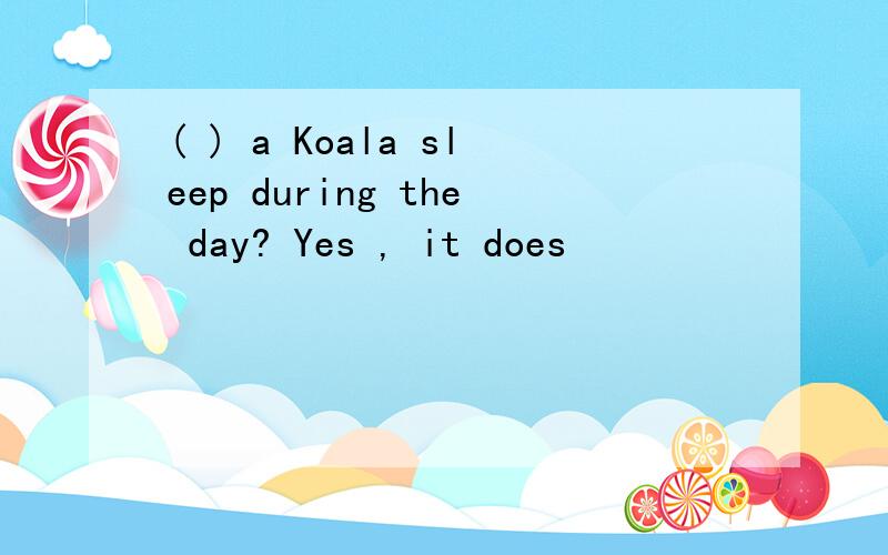 ( ) a Koala sleep during the day? Yes , it does