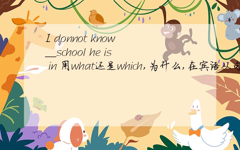 I donnot know __school he is in 用what还是which,为什么,在宾语从句中怎么区分什