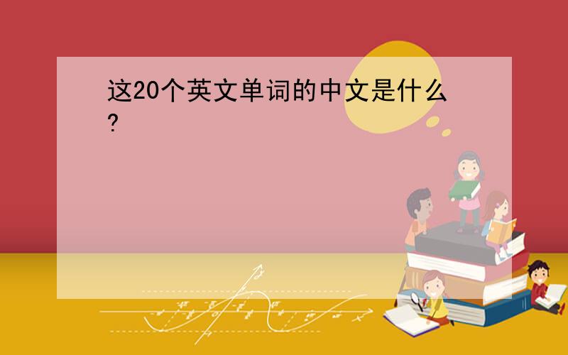 这20个英文单词的中文是什么?