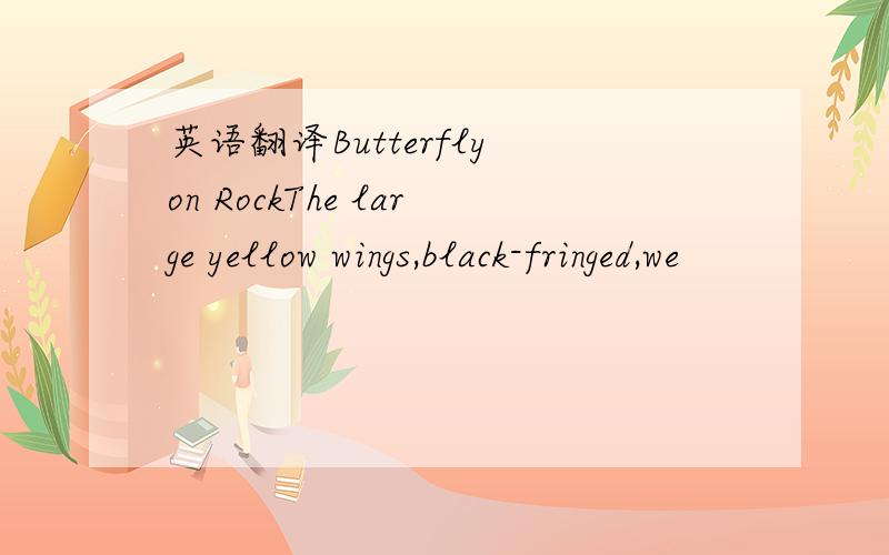 英语翻译Butterfly on RockThe large yellow wings,black-fringed,we