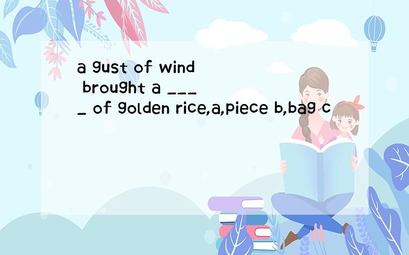 a gust of wind brought a ____ of golden rice,a,piece b,bag c