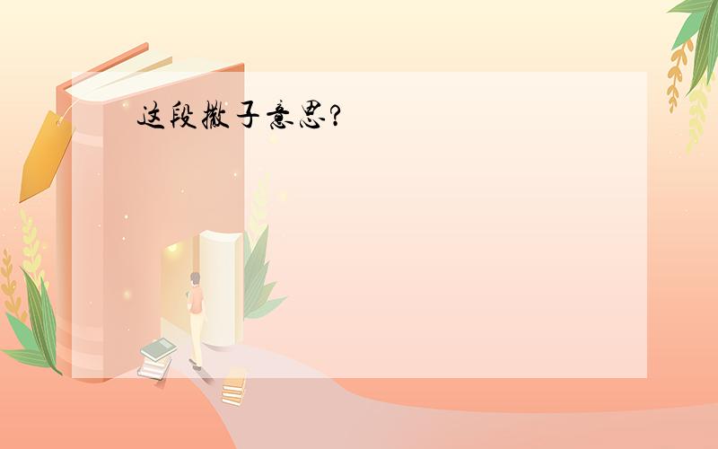 这段撒子意思?