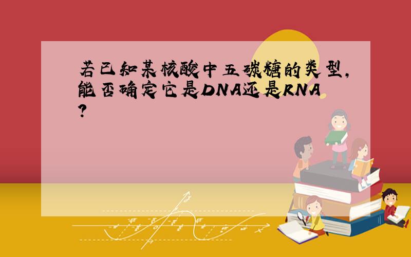 若已知某核酸中五碳糖的类型,能否确定它是DNA还是RNA?