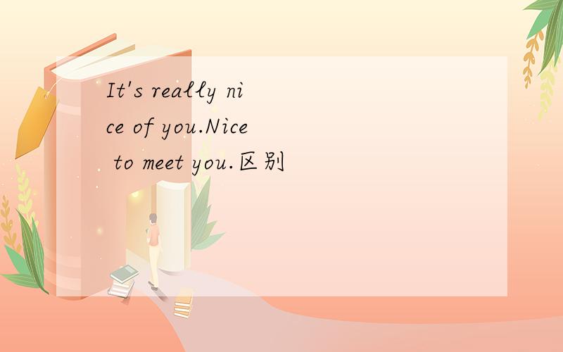 It's really nice of you.Nice to meet you.区别