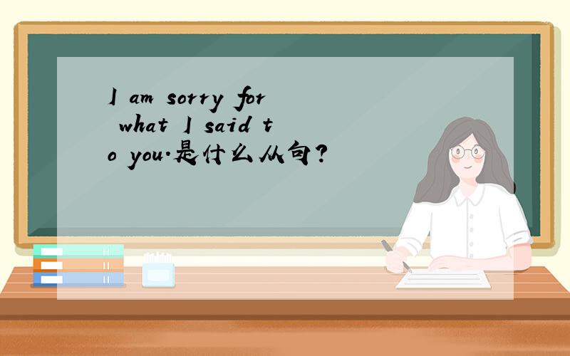 I am sorry for what I said to you.是什么从句?