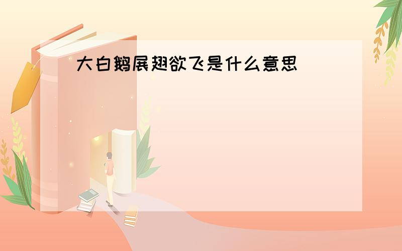 大白鹅展翅欲飞是什么意思